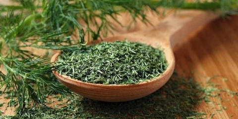 Kako sušiti zelje u električnoj sušilici, pećnici, zračnom roštilju